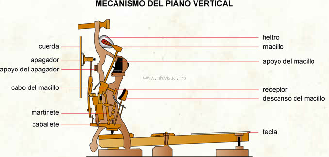 Mecanismo del piano vertical (Diccionario visual)